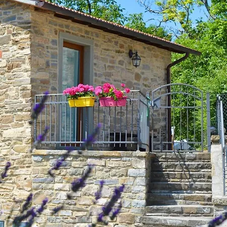 Agriturismo Vezzano Chiusi della Verna Exterior photo