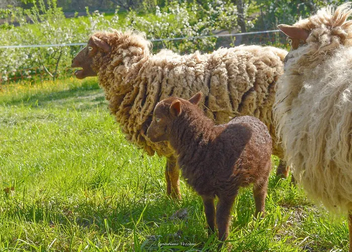 Agriturismo Vezzano