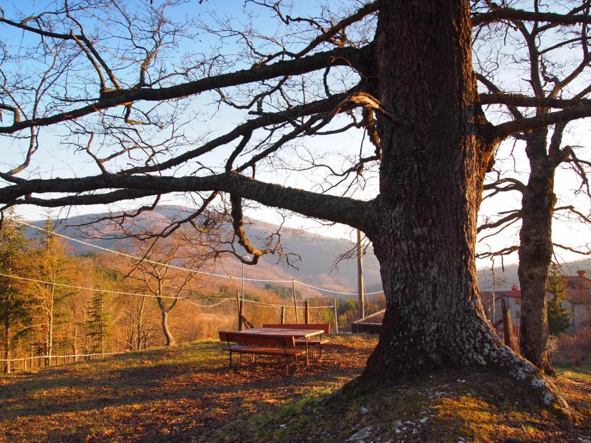 Agriturismo Vezzano Farm stay