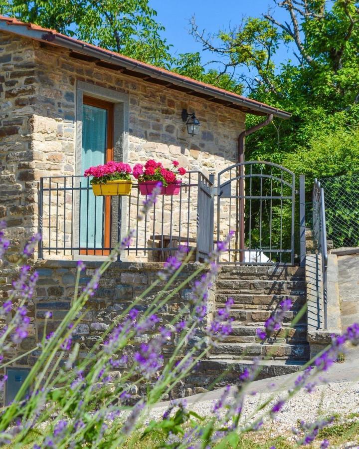 Farm stay Agriturismo Vezzano