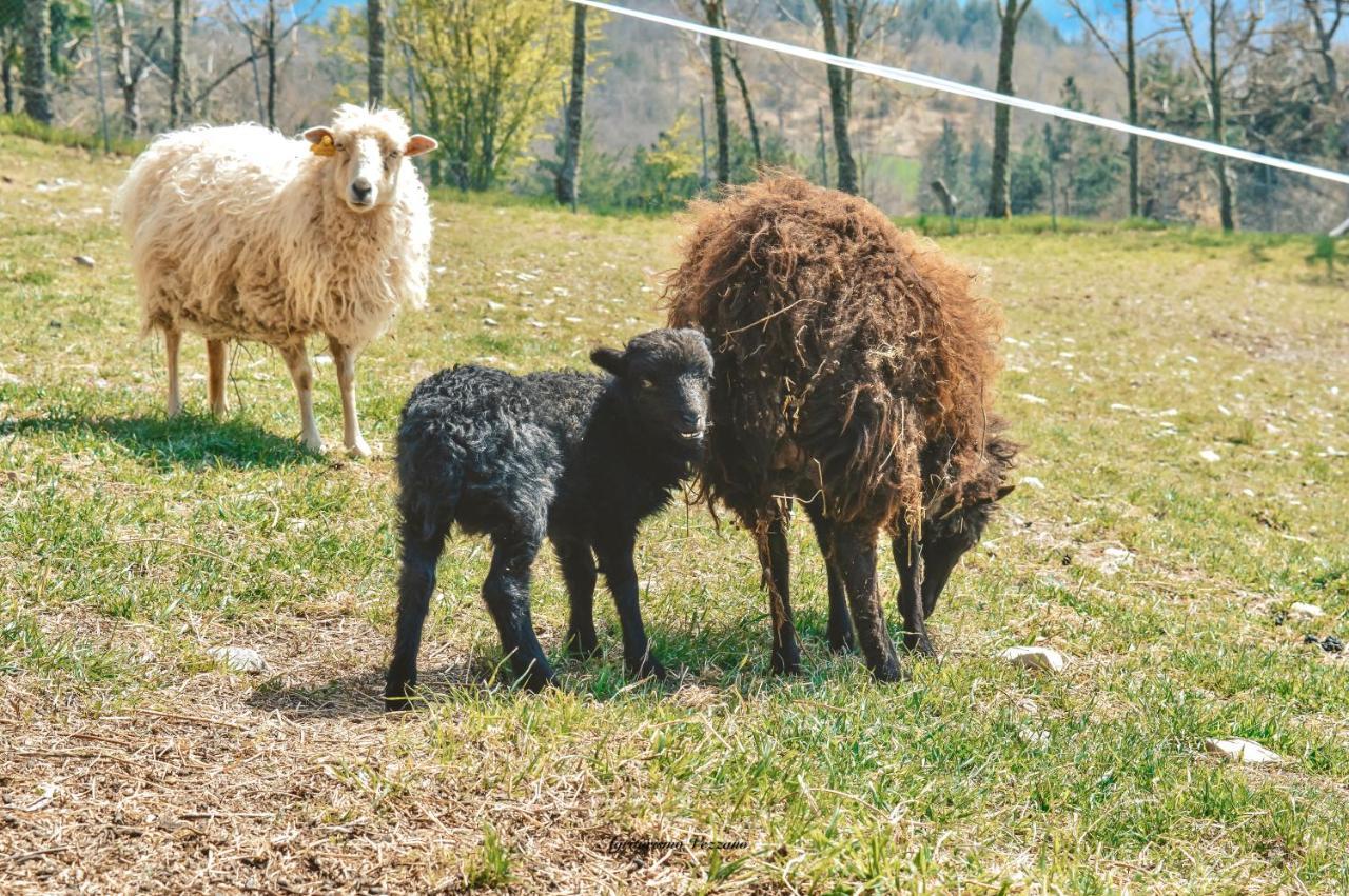 Agriturismo Vezzano *