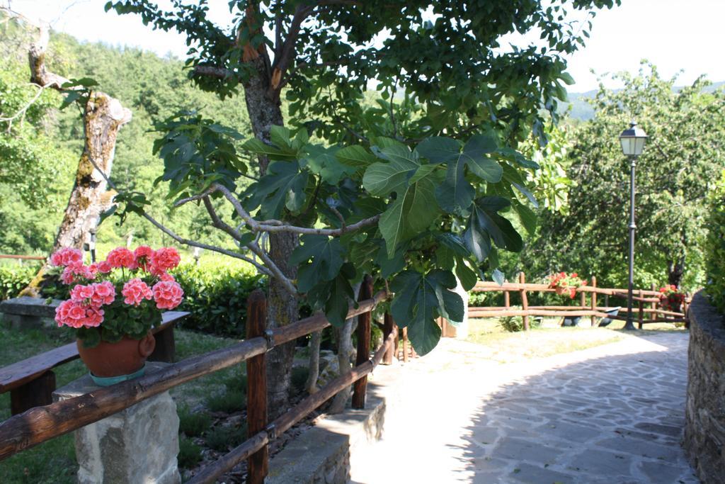 Farm stay Agriturismo Vezzano